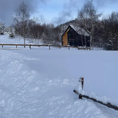 Casa vacanze Mc Na Lesnej Polanie *