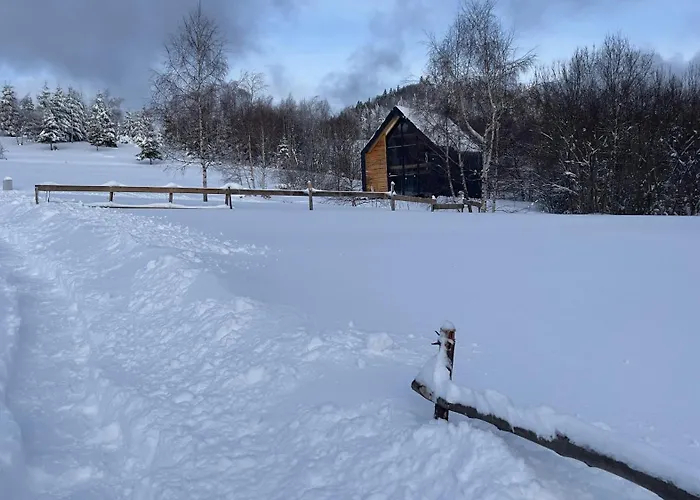 Casa vacanze Mc Na Lesnej Polanie *
