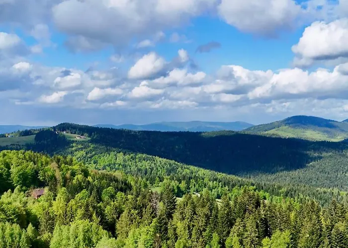 Mc Na Lesnej Polanie Casa vacanze Szczawa